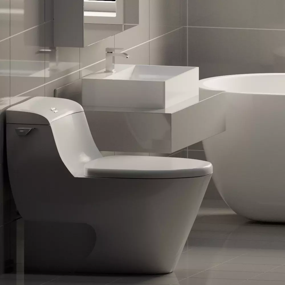 1 White porcelain